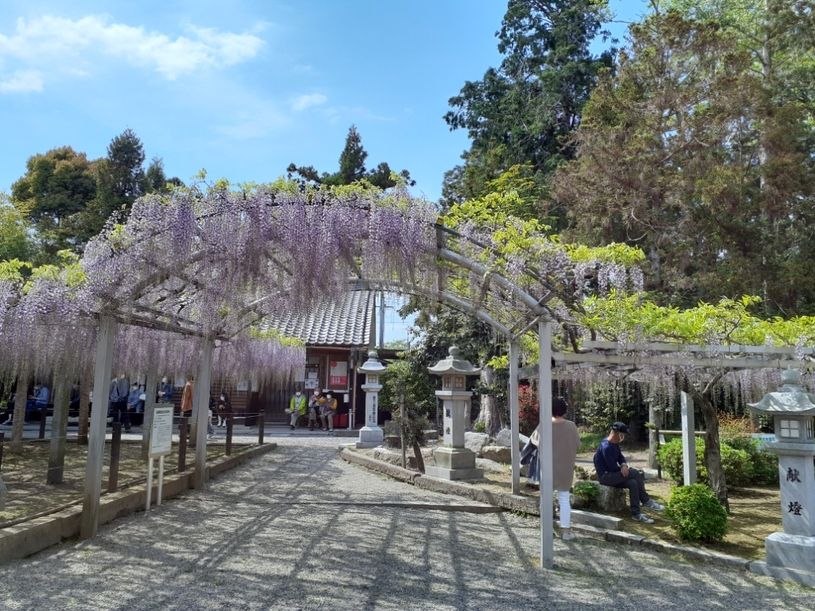 画像5
