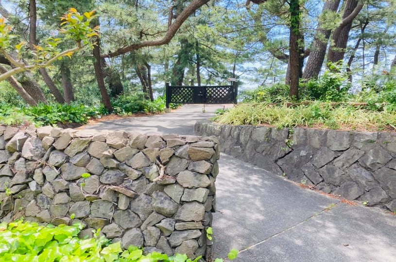 画像2