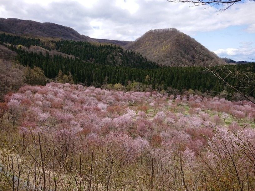 画像1