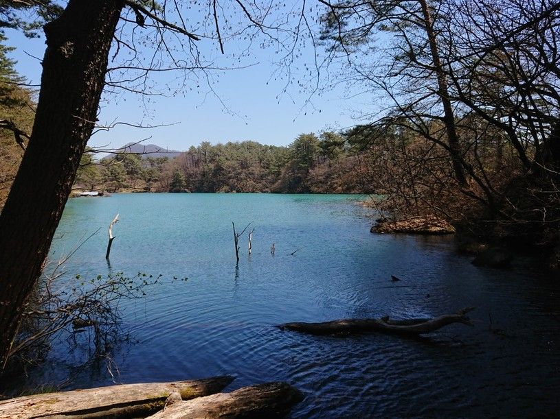 画像2