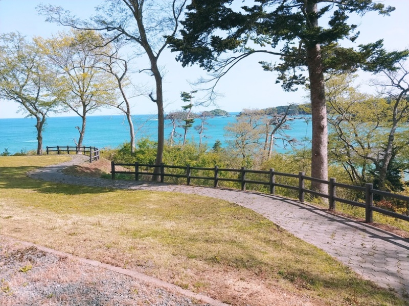 画像4