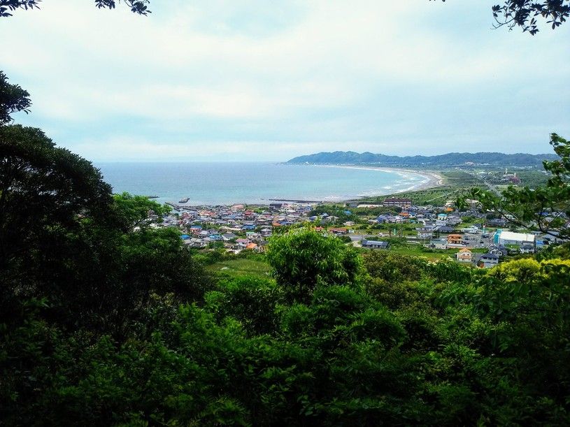 画像1