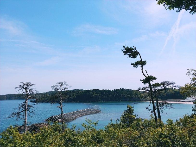 画像1
