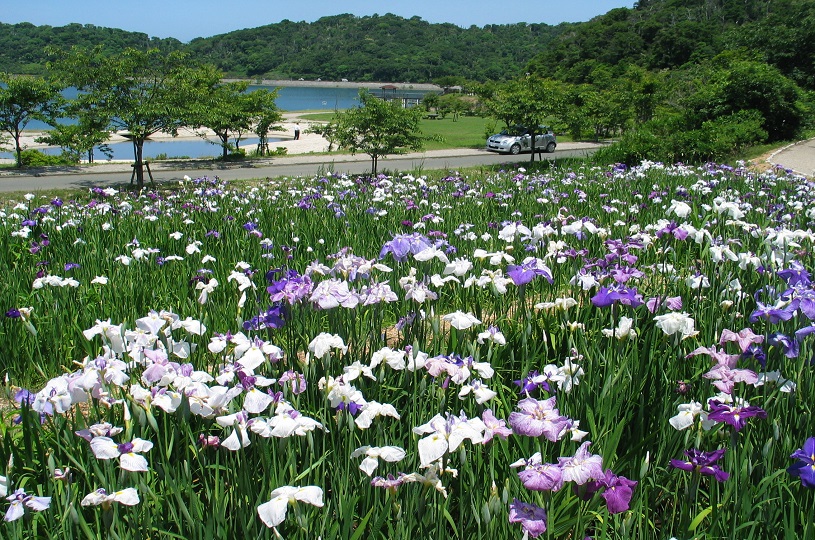 画像2