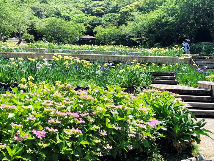 画像5