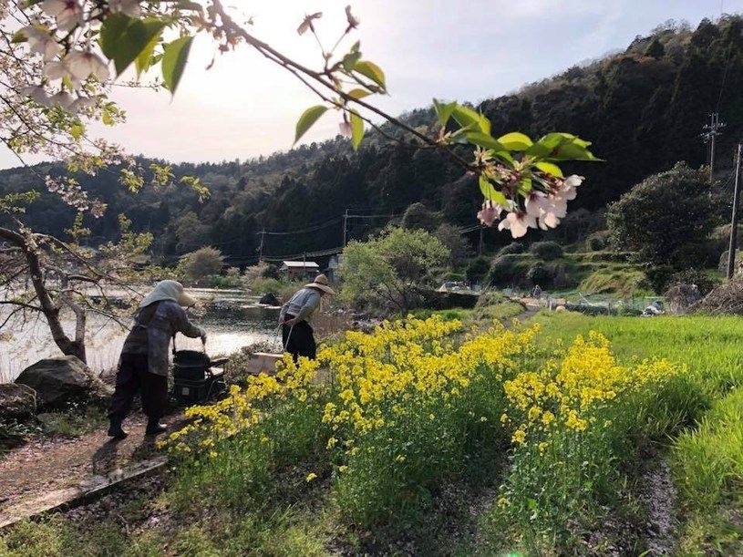 画像2