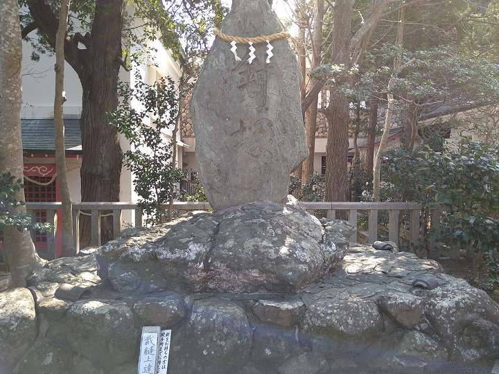 画像4
