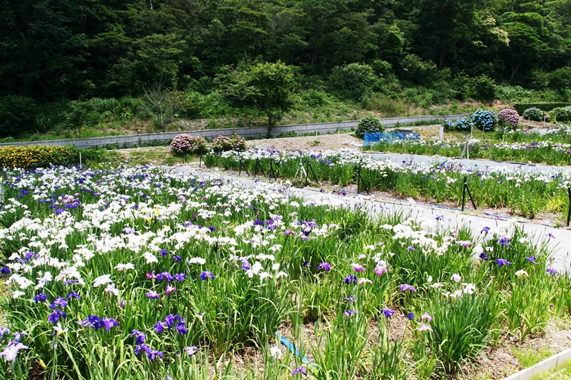画像3
