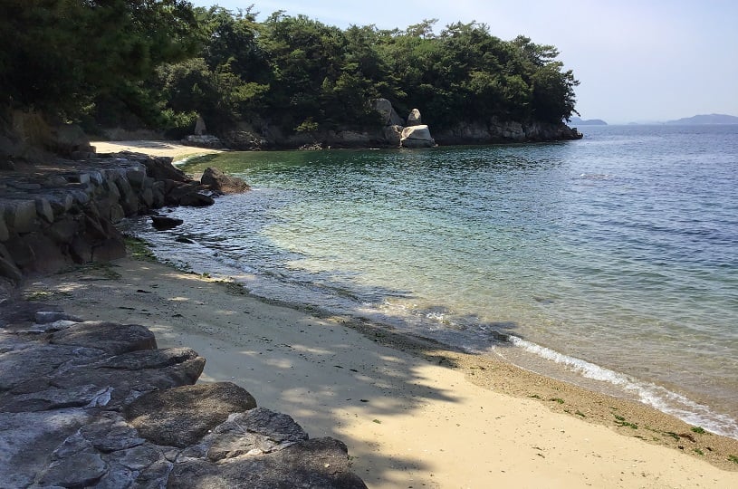 画像5
