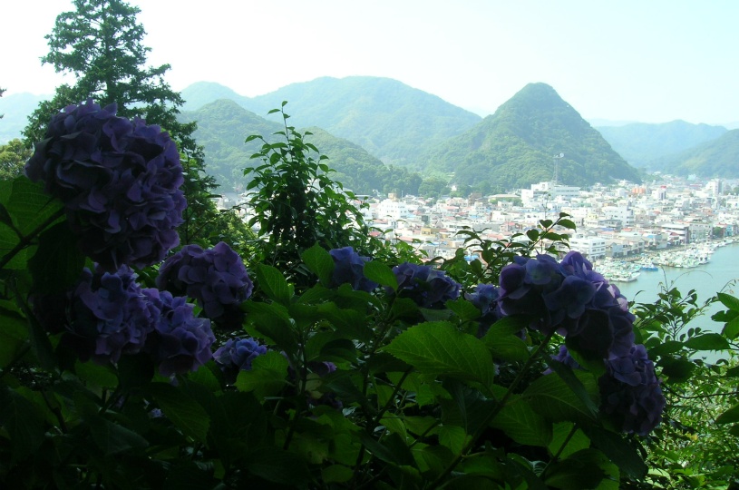画像2