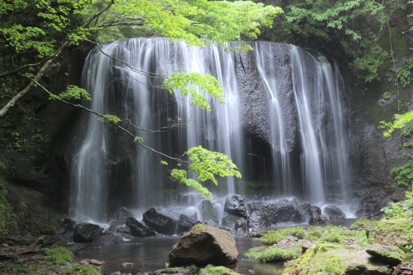 画像1