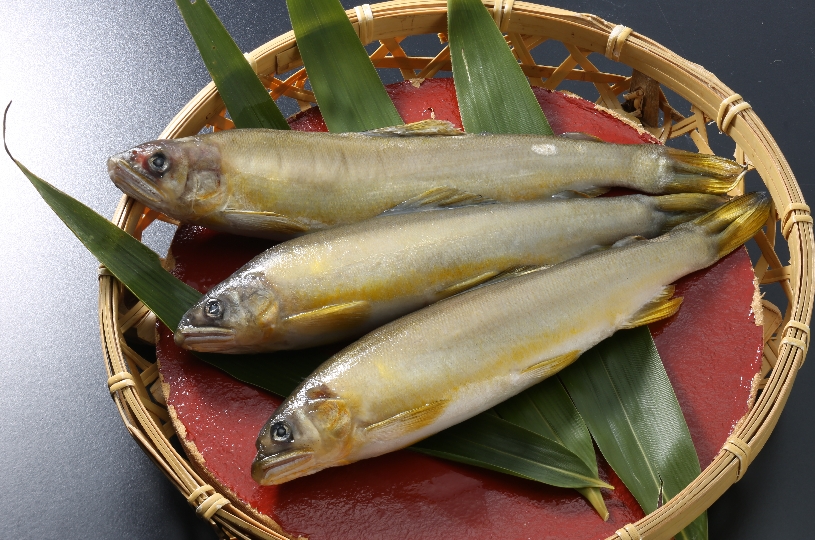 画像1