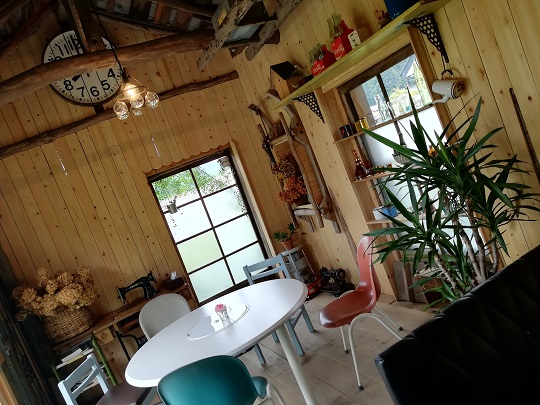 画像5
