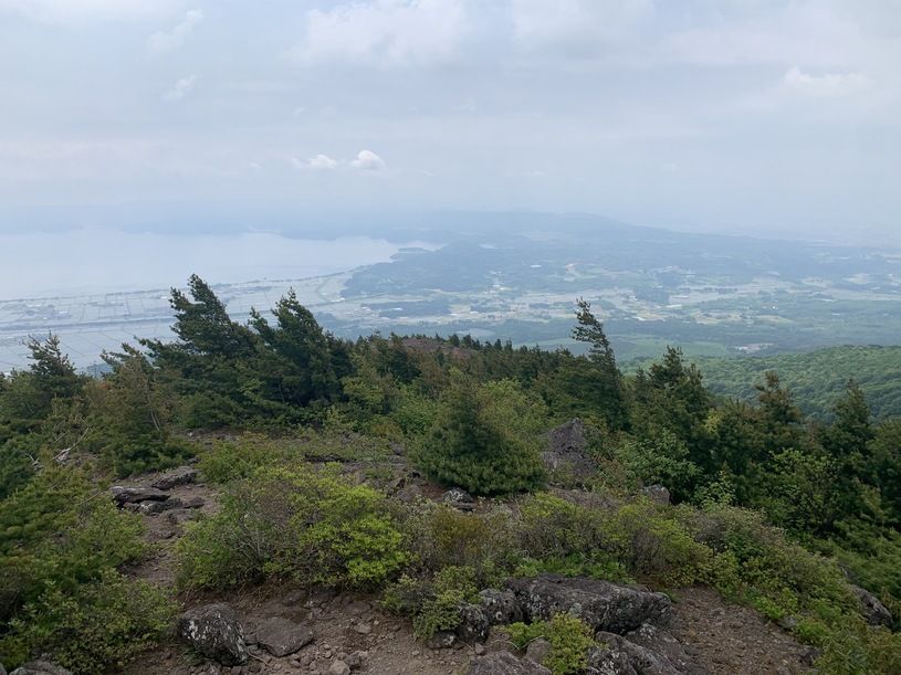 画像1