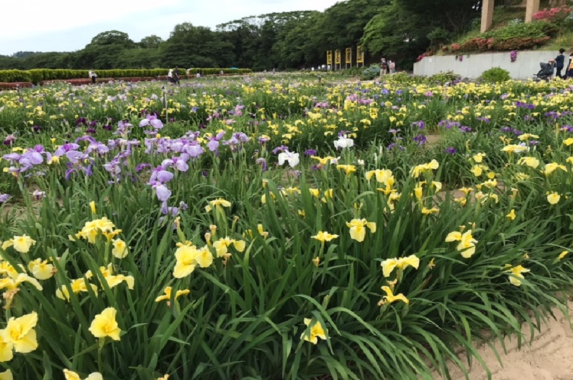 画像1