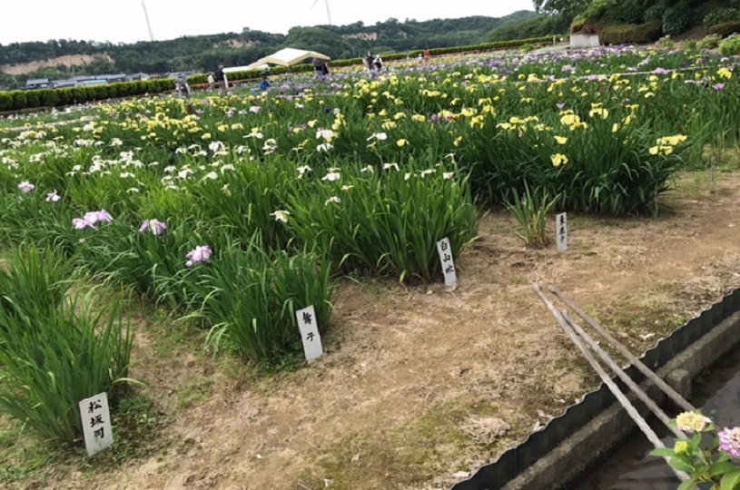 画像4