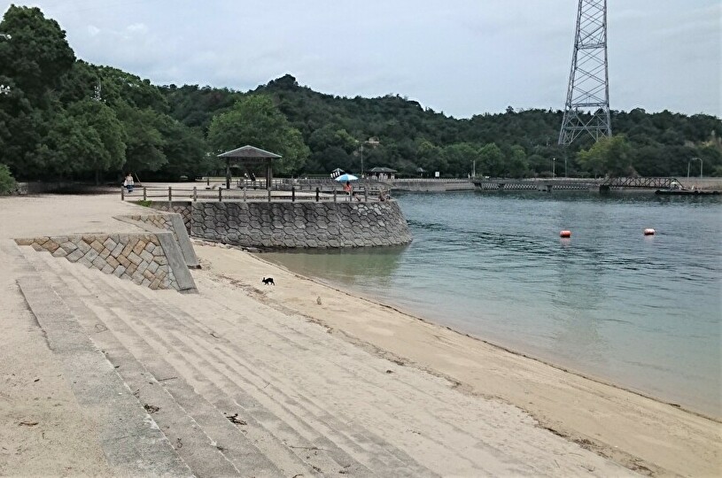 画像1