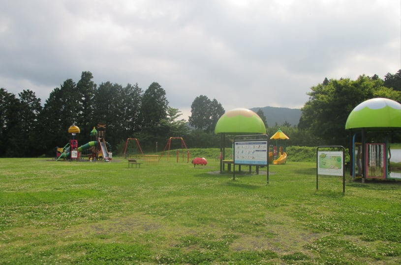 画像4