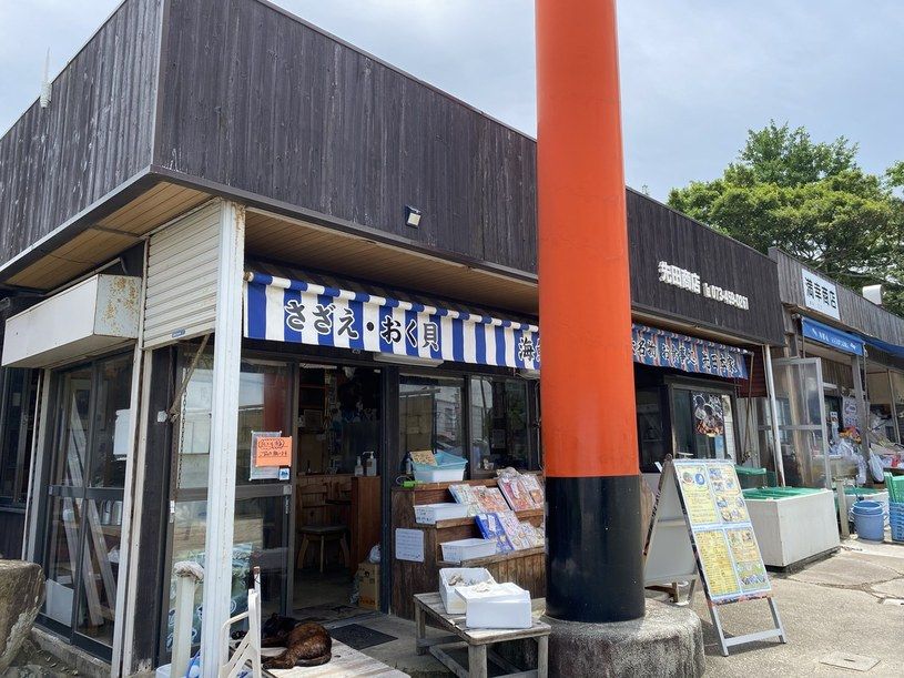 画像1