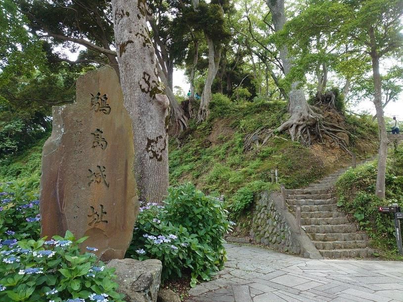 画像2