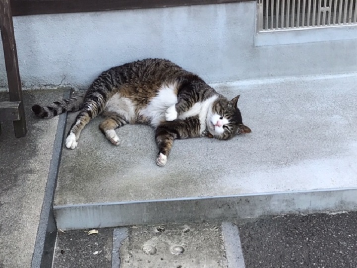 画像5