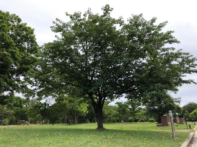 画像5