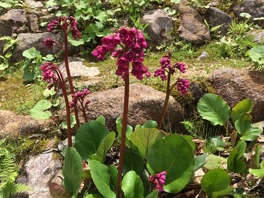 画像5