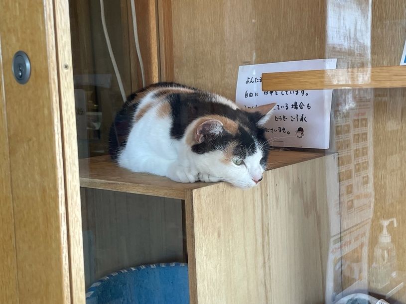 画像1