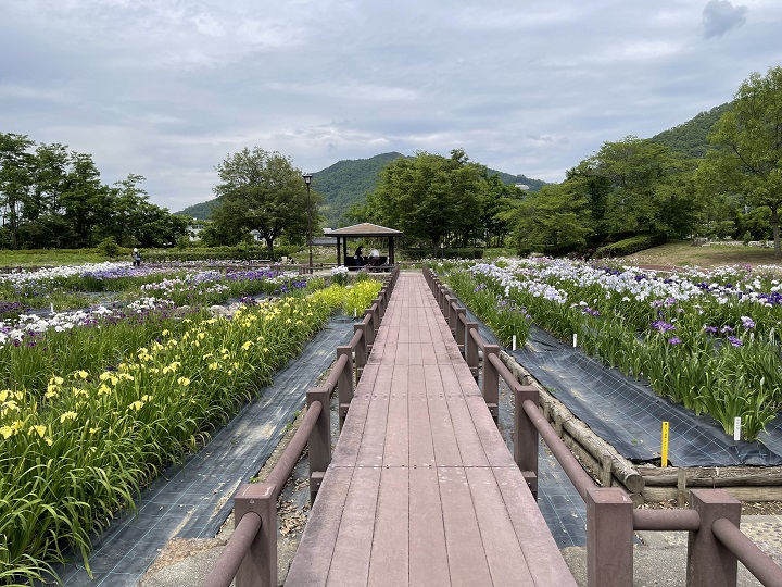 画像2