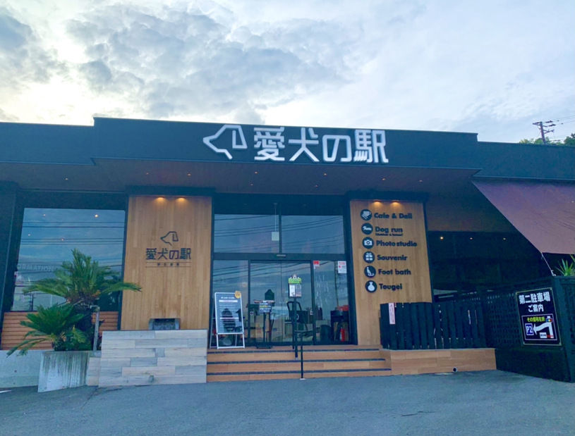 画像1