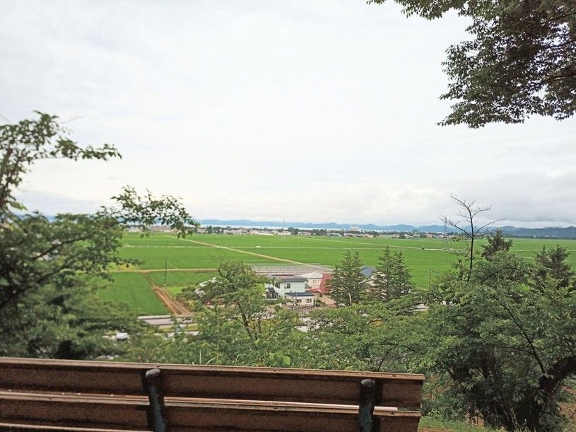 画像1
