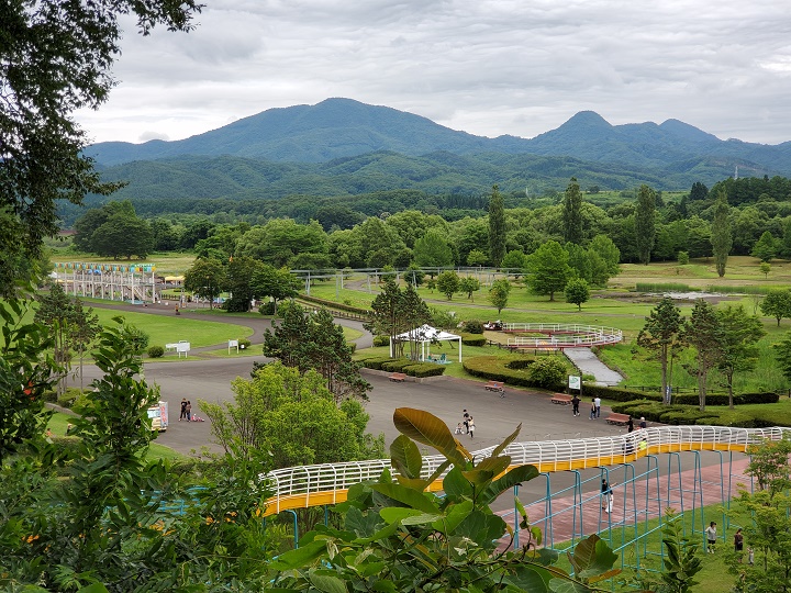 画像1