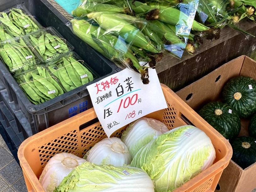 画像1