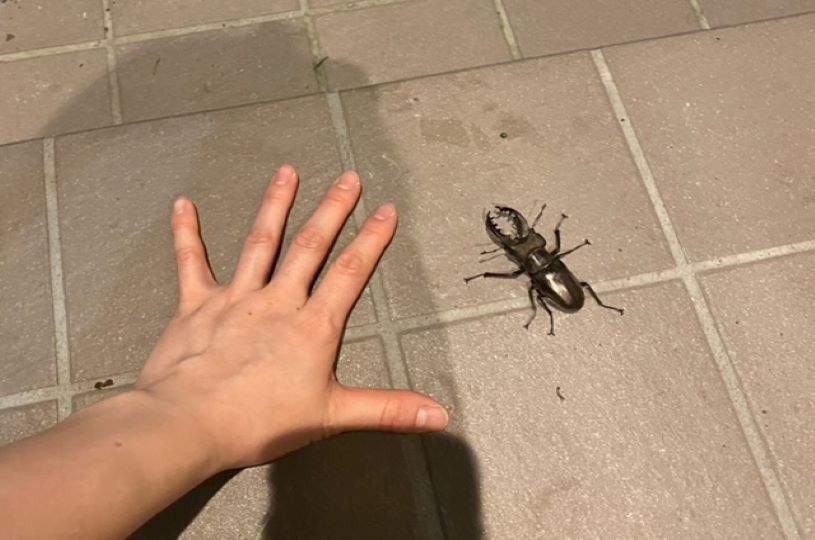 画像2