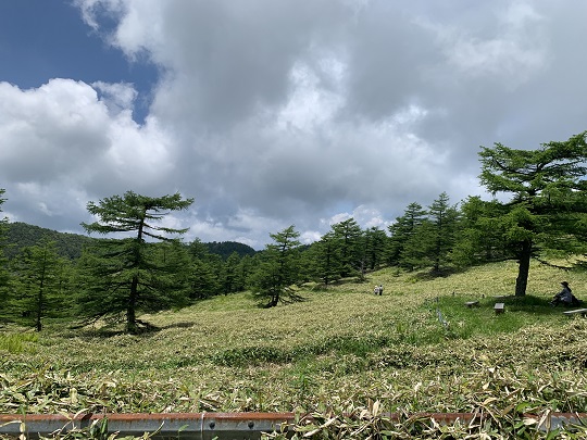 画像2