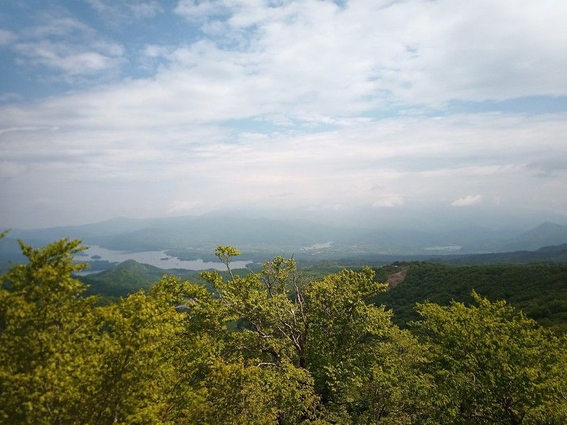 画像4