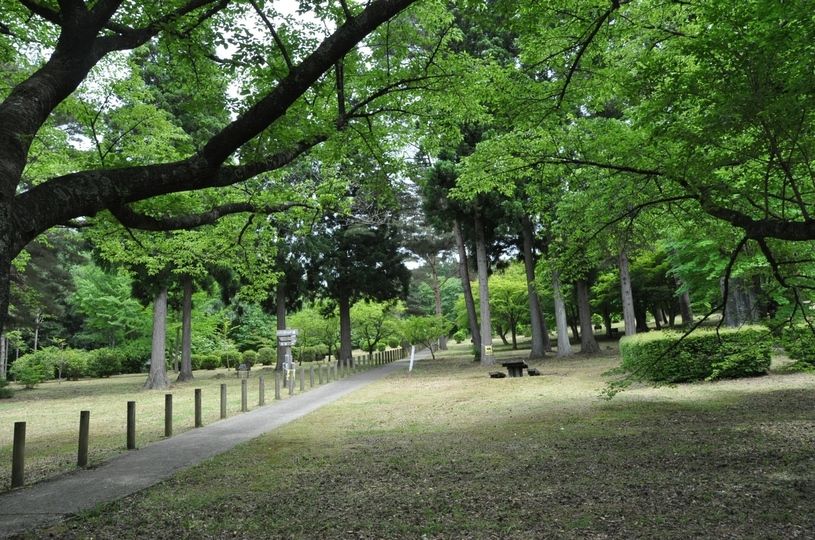 画像1