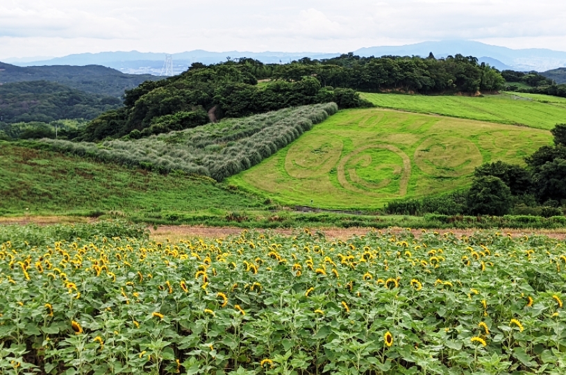 画像3