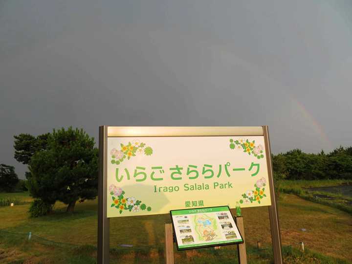 画像1