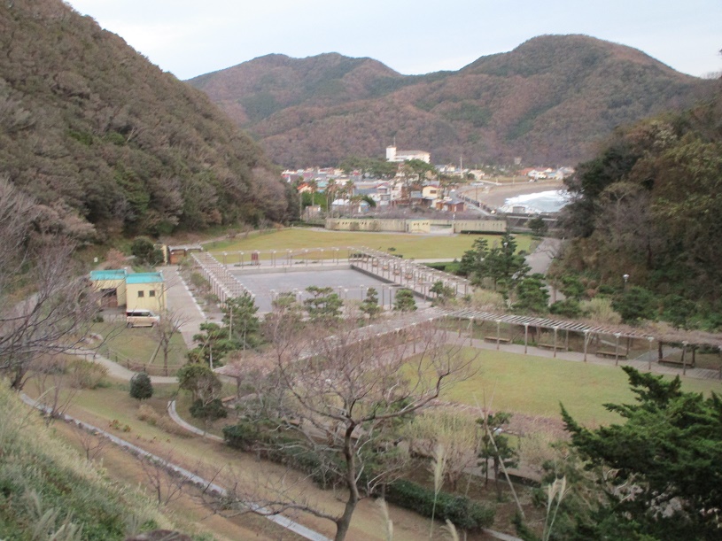 画像5