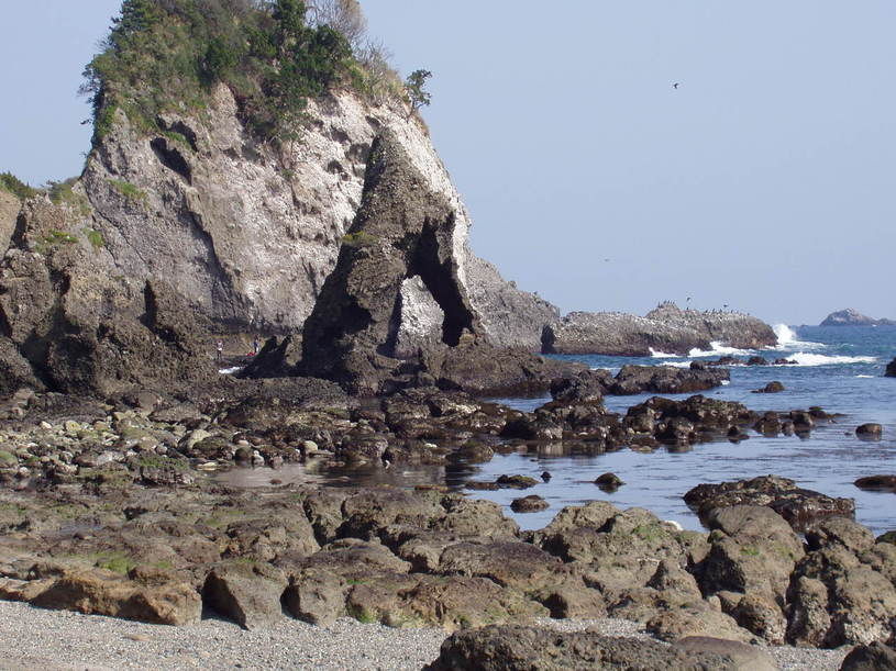 画像1