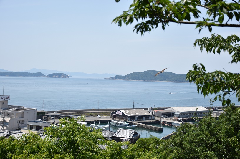 画像2