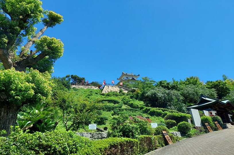 画像1