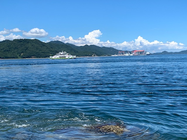 画像5