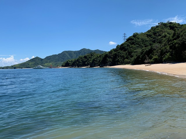 画像1