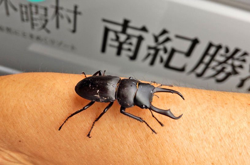 画像1