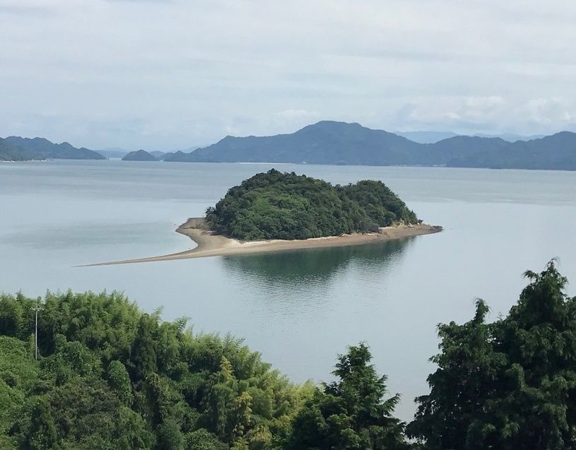 画像1