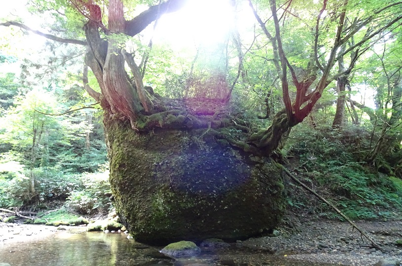 画像4