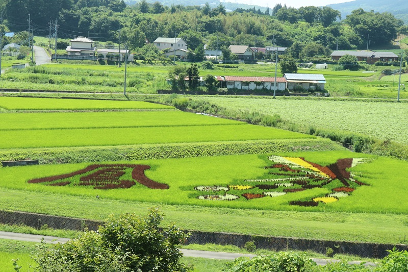 画像1