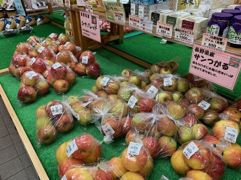 画像4